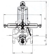 RD-29B减压阀尺寸图
